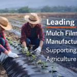 Farmers applying mulch film in Africa agricultural field to improve soil moisture, crop growth, and modern farming productivity