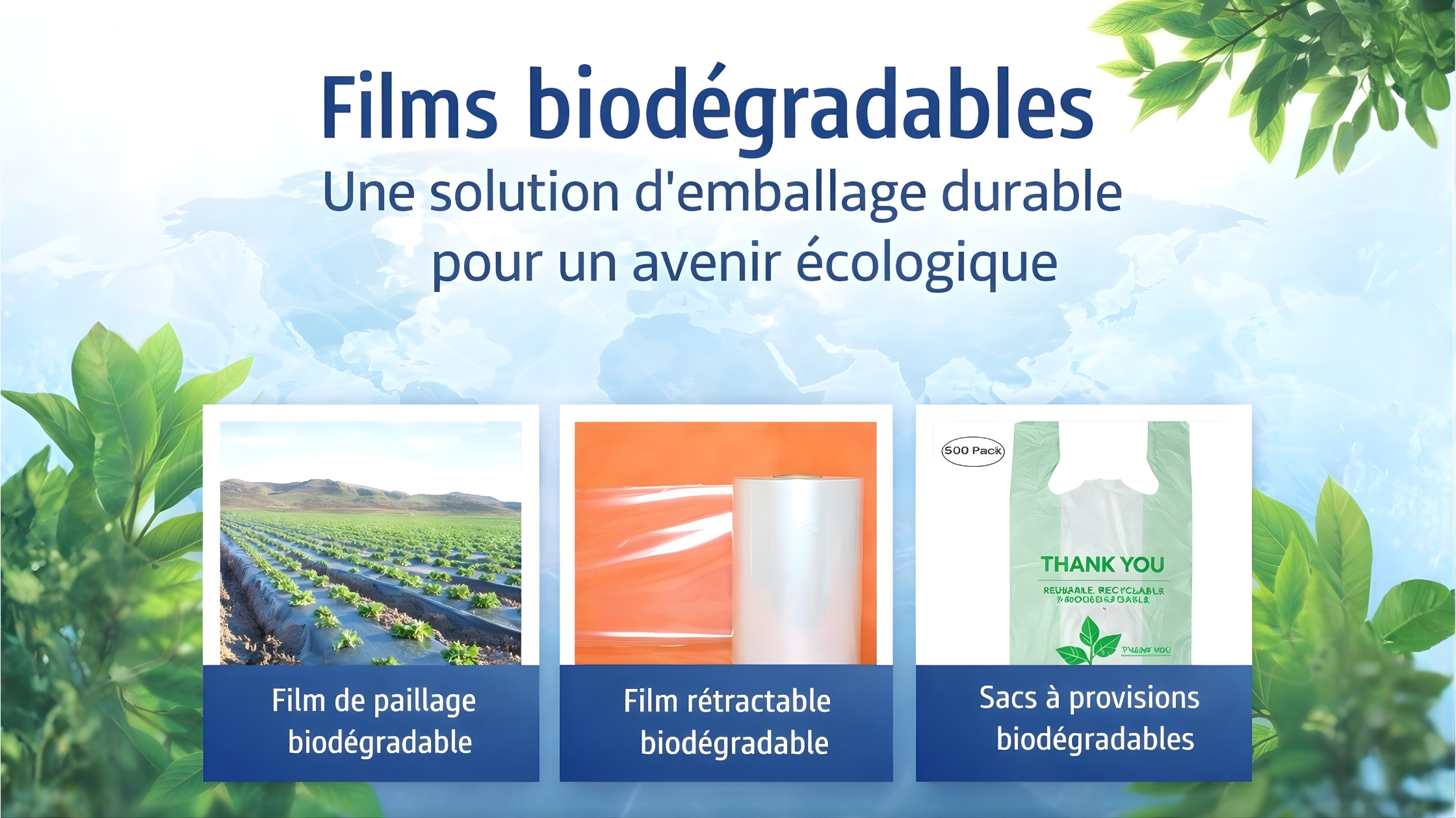 Films biodégradables : une solution d’emballage durable et performante pour un avenir écologique