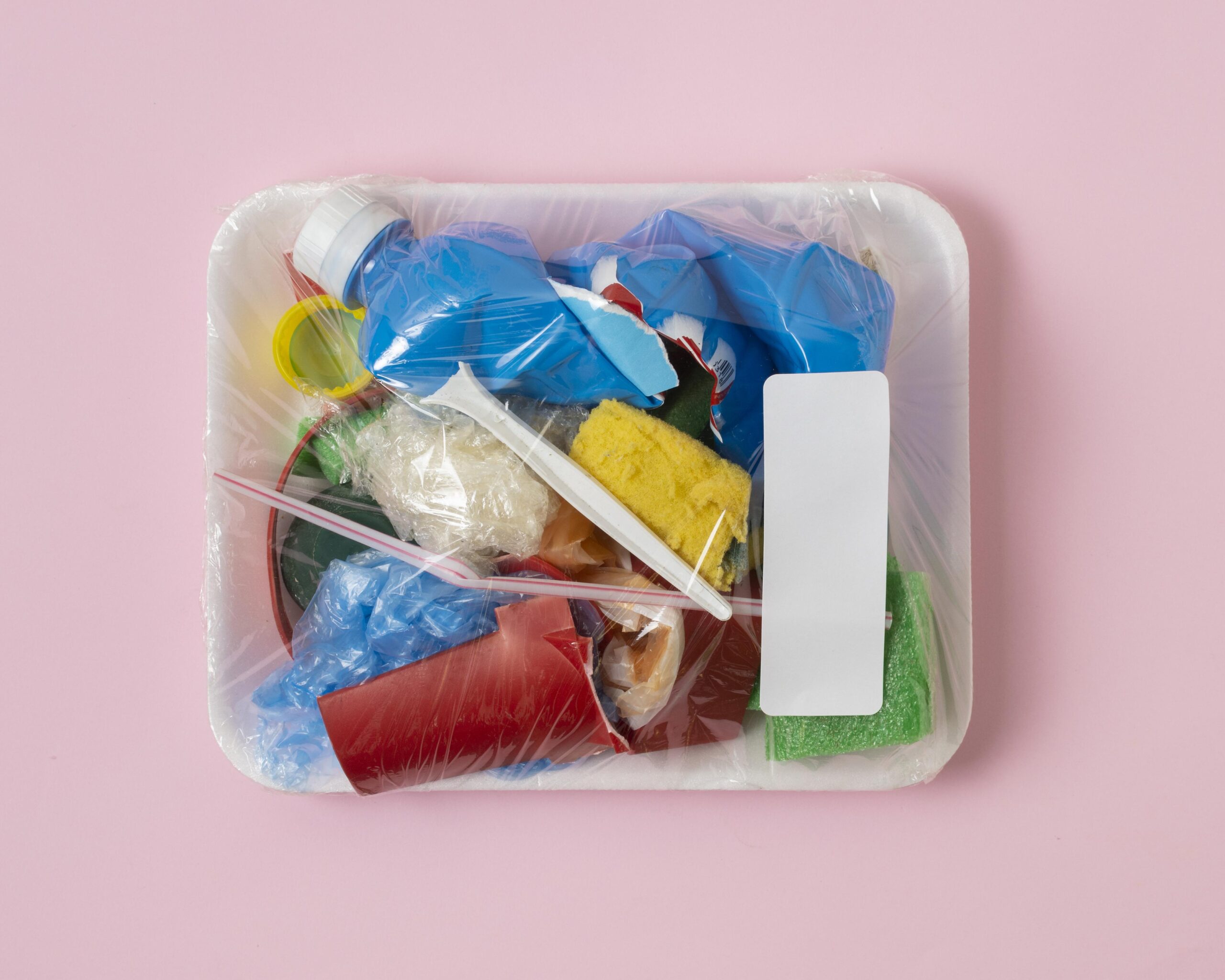 still-life-sustainability-concept-assortment