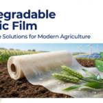 Biodegradable Plastic Film: Sustainable Solutions for Modern Agriculture
